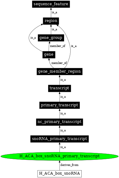 Graph image for SO:0000596