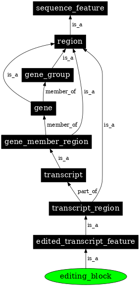 Graph image for SO:0000604