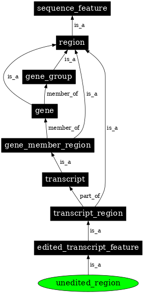Graph image for SO:0000607