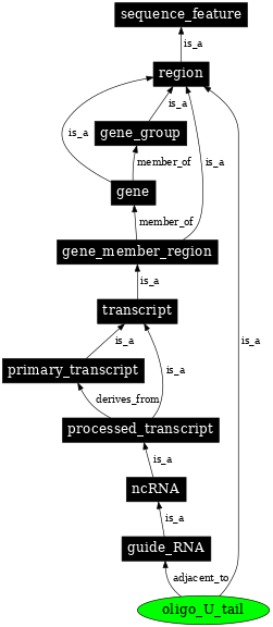 Graph image for SO:0000609