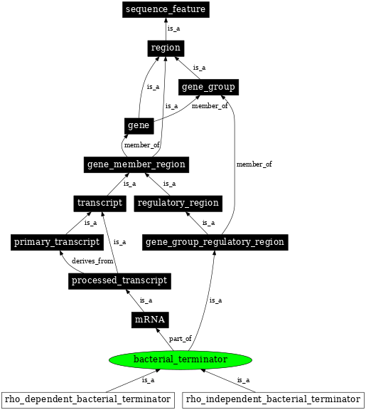 Graph image for SO:0000614