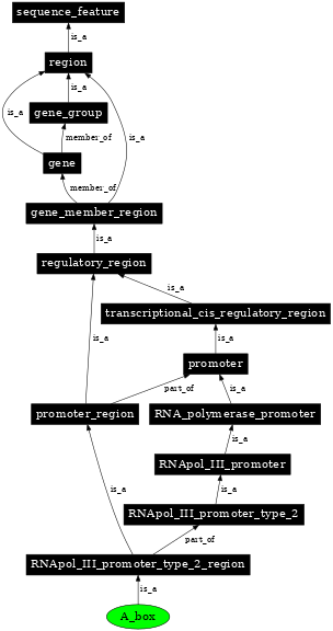 Graph image for SO:0000619