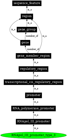 Graph image for SO:0000621