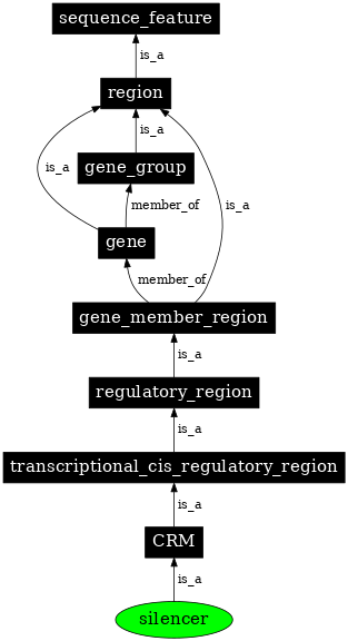 Graph image for SO:0000625