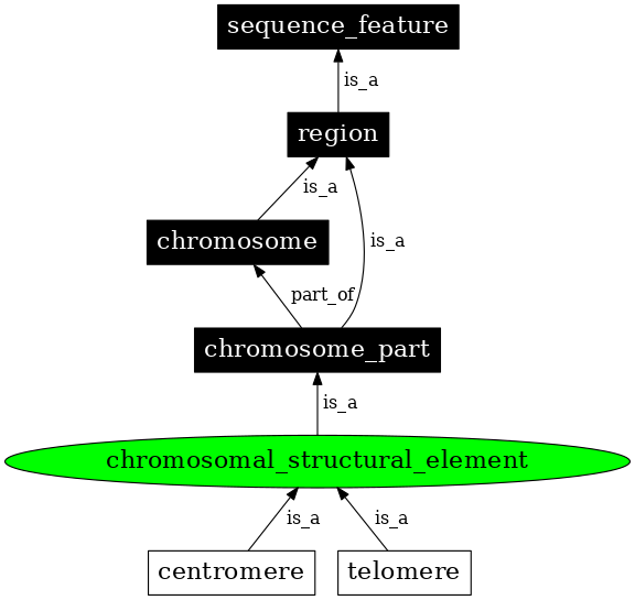 Graph image for SO:0000628