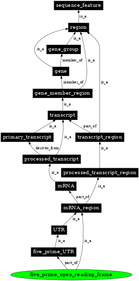 Graph image for SO:0000629