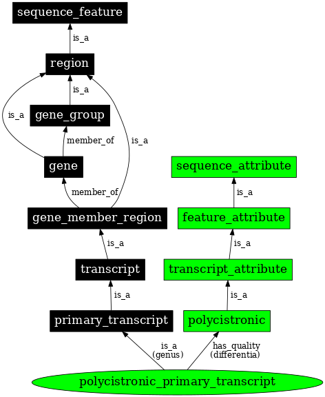 Graph image for SO:0000631