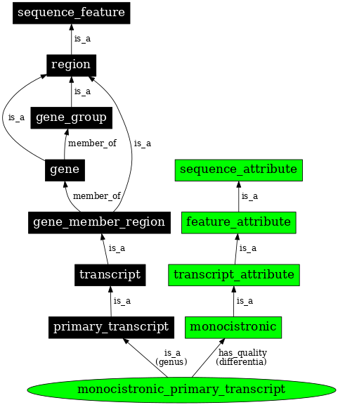Graph image for SO:0000632
