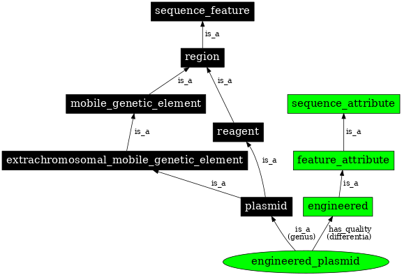 Graph image for SO:0000637