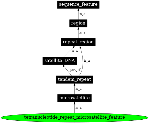 Graph image for SO:0000641