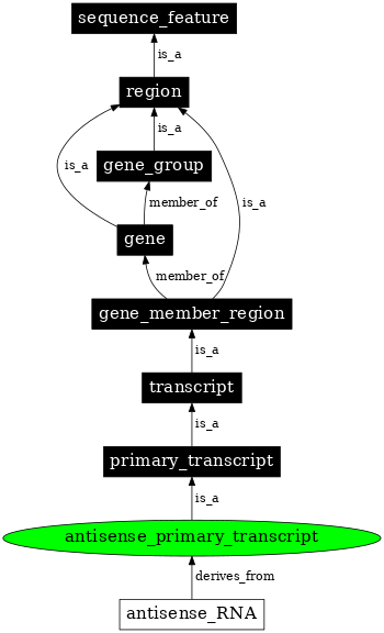 Graph image for SO:0000645