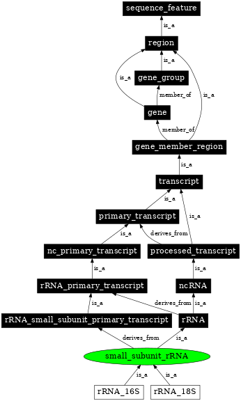 Graph image for SO:0000650