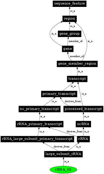 Graph image for SO:0000652