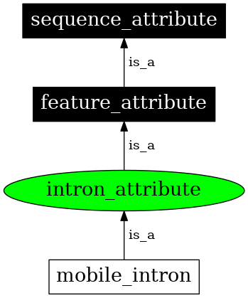Graph image for SO:0000661