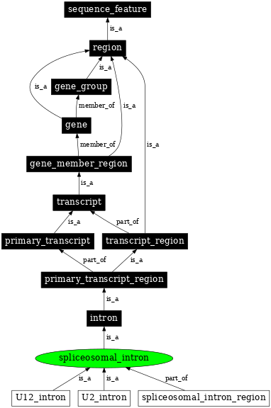 Graph image for SO:0000662
