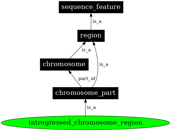 Graph image for SO:0000664