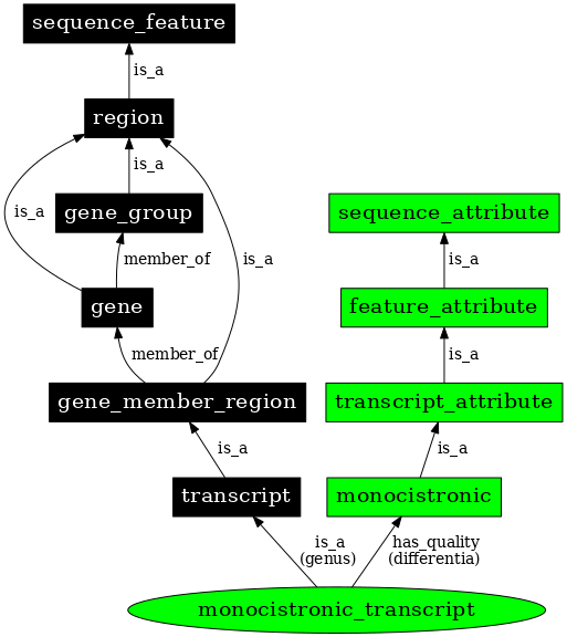 Graph image for SO:0000665