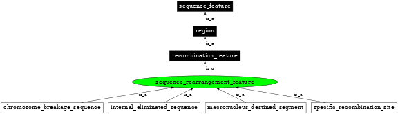 Graph image for SO:0000669