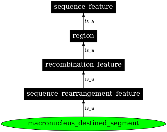 Graph image for SO:0000672