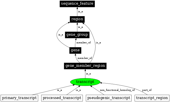 Graph image for SO:0000673