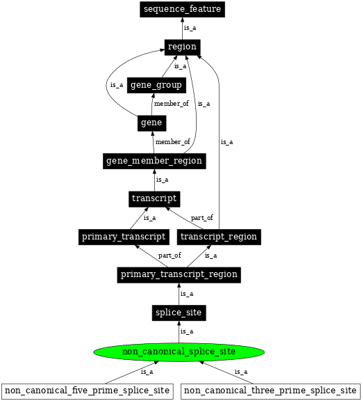 Graph image for SO:0000674