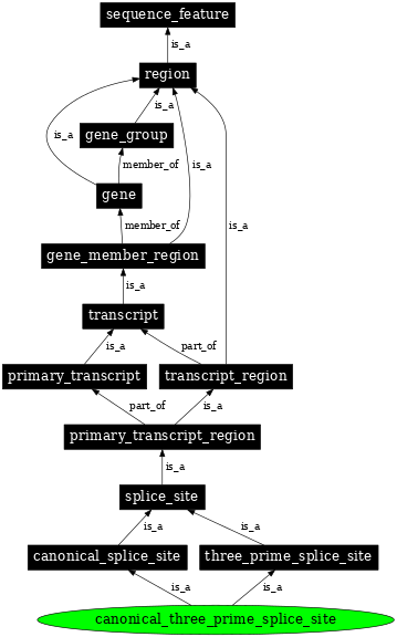 Graph image for SO:0000676