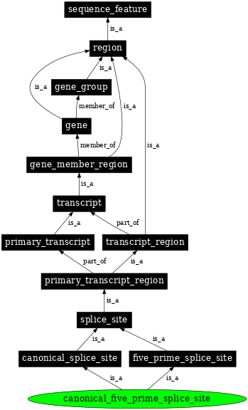 Graph image for SO:0000677