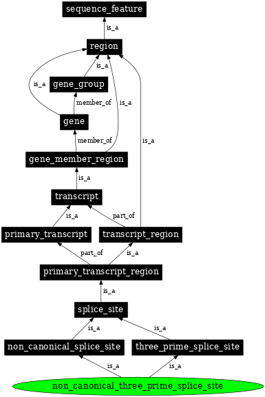 Graph image for SO:0000678