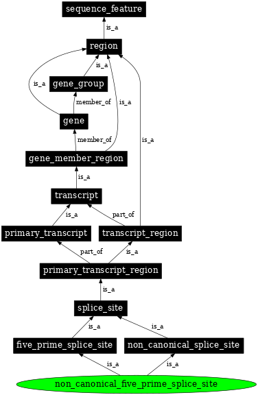 Graph image for SO:0000679