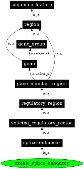 Graph image for SO:0000683