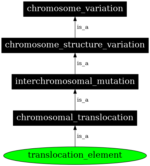 Graph image for SO:0000686