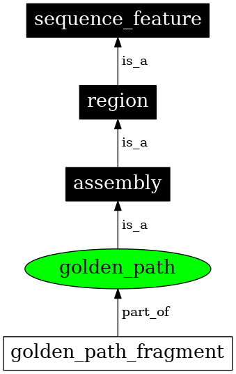 Graph image for SO:0000688