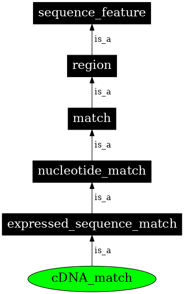 Graph image for SO:0000689