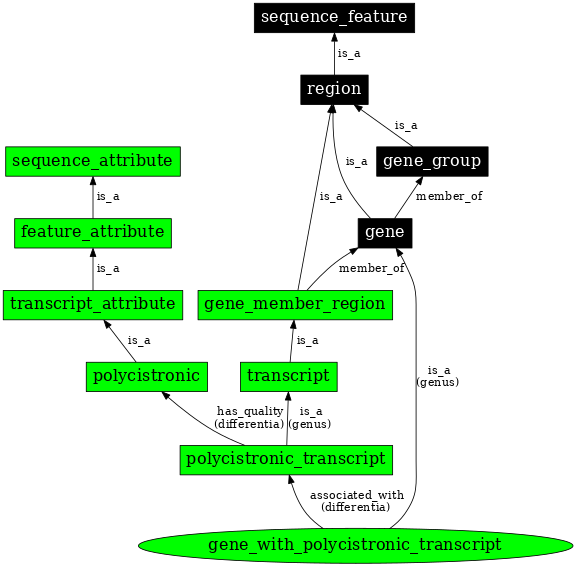 Graph image for SO:0000690