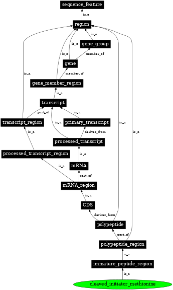 Graph image for SO:0000691