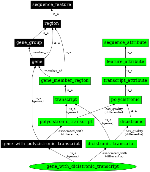 Graph image for SO:0000692
