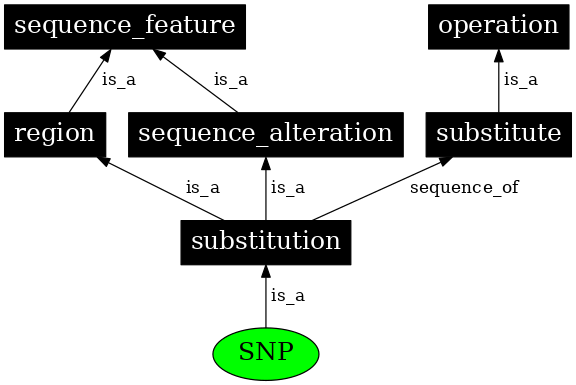 Graph image for SO:0000694