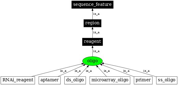 Graph image for SO:0000696