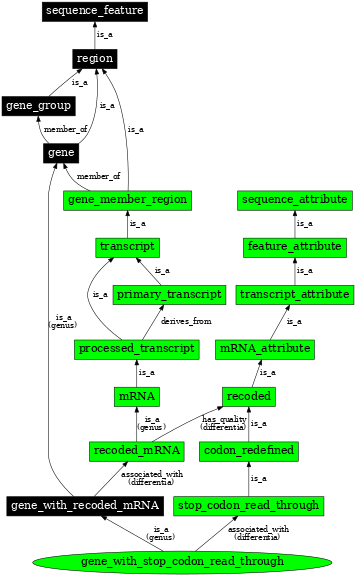 Graph image for SO:0000697