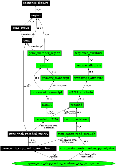 Graph image for SO:0000698