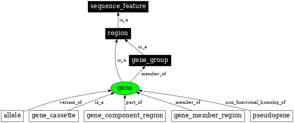 Graph image for SO:0000704