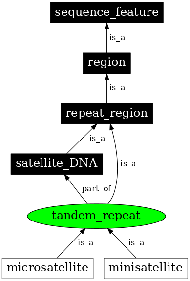 Graph image for SO:0000705