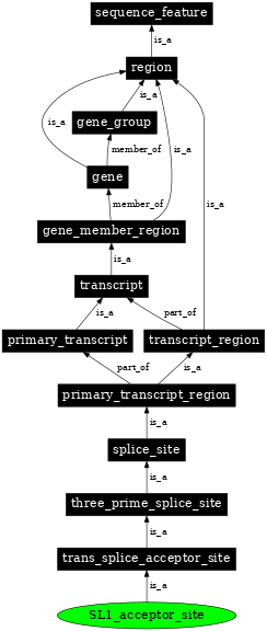 Graph image for SO:0000708
