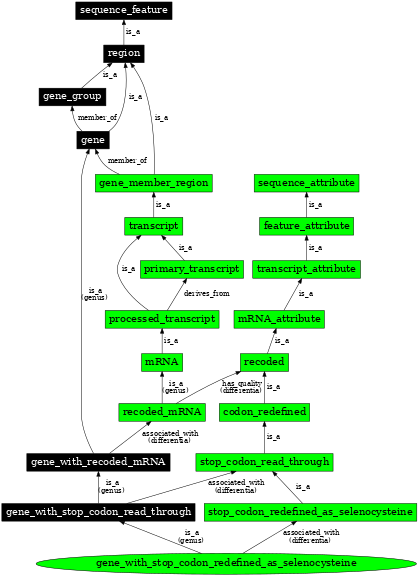 Graph image for SO:0000710