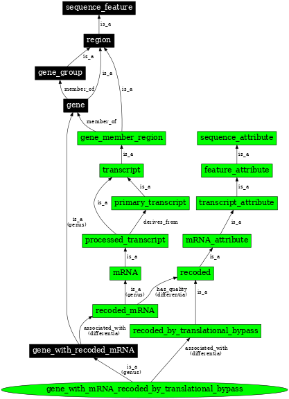 Graph image for SO:0000711