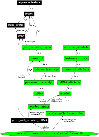 Graph image for SO:0000712