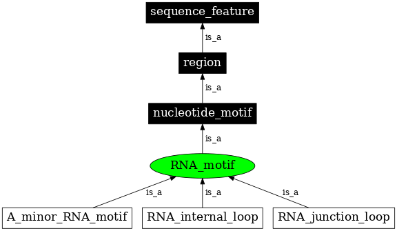 Graph image for SO:0000715