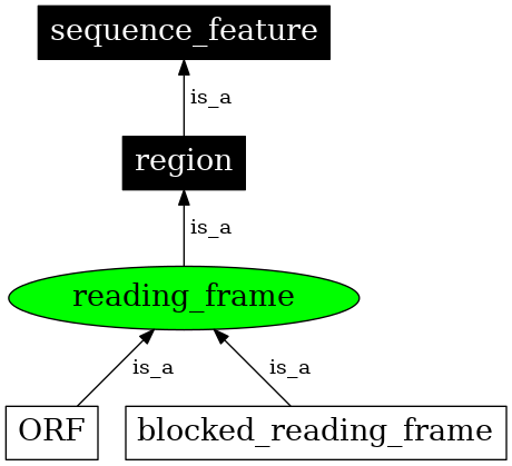 Graph image for SO:0000717