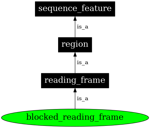 Graph image for SO:0000718