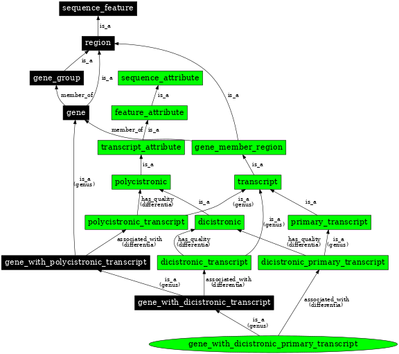 Graph image for SO:0000721